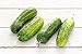 photo Boston Pickling Cucumber Seeds, 100 Heirloom Seeds Per Packet, Non GMO Seeds, Isla's Garden Seeds 2024-2023