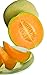 photo Burpee Hale's Best Jumbo Cantaloupe Melon Seeds 200 seeds 2024-2023