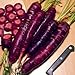 photo Purple Dragon Carrot 350 Seeds - Absolutely unique! 2024-2023