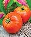 photo Burpee Better Boy Hybrid Large Slicing Red Variety Non-GMO Vegetable Planting | Disease-Resistant Tomato for Garden, 30 Seeds 2024-2023