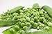 photo Early Frosty Pea Seeds, 50 Heirloom Seeds Per Packet, Non GMO Seeds, Isla's Garden Seeds 2024-2023