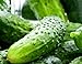 photo 100 Boston Pickling Cucumber Seeds | Non-GMO | Fresh Garden Seeds 2024-2023