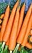photo 1200 Tendersweet Carrot Seeds | Non-GMO | Fresh Garden Seeds 2024-2023
