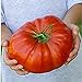 photo Steakhouse Tomato Seeds (20+ Seeds) | Non GMO | Vegetable Fruit Herb Flower Seeds for Planting | Home Garden Greenhouse Pack 2024-2023