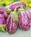 photo Exotic Listada de Gandia Eggplant Seed for Planting | 50+ Seeds | Ships from Iowa, USA | Non-GMO Exotic Heirloom Vegetables | Great Gardening Gift 2024-2023
