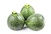 photo Round Zucchini Summer Squash Seeds, aka: Eight Ball Zucchini, 40 Heirloom Seeds Per Packet, Non GMO Seeds, Botanical Name: Cucurbirta pepo, Isla's Garden Seeds 2024-2023