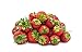 photo Seascape Everbearing Strawberry Bare Roots Plants, 25 per Pack, Hardy Plants Non GMO 2024-2023