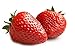 photo MOCCUROD 150pcs Giant Strawberry Seeds Evergreening Plant Fruit Seeds Sweet and Delicious 2024-2023
