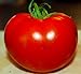 photo Celebrity Tomato 45 Seeds -Disease Resistant! 2024-2023