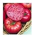 photo 75+ Mortgage Lifter Tomato Seeds- Heirloom Variety- by Ohio Heirloom Seeds 2024-2023
