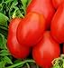 photo 250 Roma VF Tomato Seeds | Non-GMO | Heirloom | Instant Latch Garden Seeds | Vegetable Seeds 2024-2023