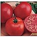 photo Burpee Big Boy Tomato Seeds (20+ Seeds) | Non GMO | Vegetable Fruit Herb Flower Seeds for Planting | Home Garden Greenhouse Pack 2024-2023