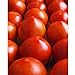photo Early Girl Tomato - One of The Earliest Tomatoes!!!!!!!!!(25 - Seeds) 2024-2023
