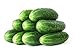 photo 50 Straight Eight Cucumber Seeds - Heirloom Non-GMO USA Grown Vegetable Seeds for Planting - Pickling and Slicing Cucumber 2024-2023