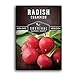 photo Survival Garden Seeds - Champion Radish Seed for Planting - Packet with Instructions to Plant and Grow Red Radishes in Your Home Vegetable Garden - Non-GMO Heirloom Variety 2024-2023