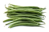photo: You can buy Green Bean Seeds for Planting - Provider - Bush Bean - 50 Seeds - Heirloom Non-GMO Vegetable Seeds for Planting online, best price $5.49 ($0.11 / Count) new 2024-2023 bestseller, review