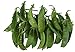 photo Oregon Giant Snow Pea Seeds- 50 Count Seed Pack - Non-GMO - Finest Tasting, Most Vigorous Snow peas. Use Them for Colorful Tasty stir-Fry Recipes or eat raw. - Country Creek LLC 2024-2023