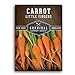 photo Survival Garden Seeds - Little Fingers Carrot Seed for Planting - Packet with Instructions to Plant and Grow Delicious Baby Carrots in Your Home Vegetable Garden - Non-GMO Heirloom Variety - 1 Pack 2024-2023