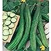 photo Cetriolo Chinese Slangen Cucumbers Seeds (20+ Seeds) | Non GMO | Vegetable Fruit Herb Flower Seeds for Planting | Home Garden Greenhouse Pack 2024-2023