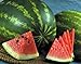 photo Watermelon, Jubilee , Heirloom, 20 Seeds, Large, Sweet N Delicious 2024-2023