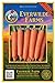 photo Everwilde Farms - 2000 Scarlet Nantes Carrot Seeds - Gold Vault Jumbo Seed Packet 2024-2023