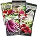 photo Sow Right Seeds - Radish Seed Collection for Planting - Champion, Watermelon, French Breakfast, China Rose, and Minowase (Diakon) Varieties - Non-GMO Heirloom Seed to Plant a Home Vegetable Garden 2024-2023
