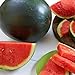 photo Watermelon, Black Diamond, Heirloom, 50 Seeds, Super Sweet Round Melon 2024-2023
