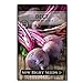 photo Sow Right Seeds - Detroit Dark Red Beet Seed for Planting - Non-GMO Heirloom Packet with Instructions to Plant a Home Vegetable Garden - Great Gardening Gift (1) 2024-2023