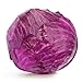 photo Red Acre Cabbage Seeds, 250 Heirloom Seeds Per Packet, Non GMO Seeds, Botanical Name: Brassica oleracea VAR. capitata f. rubra, Isla's Garden Seeds 2024-2023