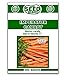 photo Imperator Carrot Seeds - 500 Seeds Non-GMO 2024-2023