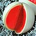 photo Seeds4planting - Seeds Watermelon Snow White Giant Heirloom Fruits Non GMO 2024-2023