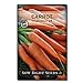 photo Sow Right Seeds - Imperator 58 Carrot Seed for Planting - Non-GMO Heirloom Packet with Instructions to Plant a Home Vegetable Garden, Great Gardening Gift (1) 2024-2023