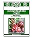 photo Early Wonder Beet Seeds - 100 Seeds Non-GMO 2024-2023