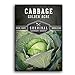 photo Survival Garden Seeds - Golden Acres Green Cabbage Seed for Planting - Packet with Instructions to Plant and Grow Yellow-White Cabbages in Your Home Vegetable Garden - Non-GMO Heirloom Variety 2024-2023