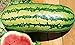 photo 25 Garrisonian Watermelon Seeds | Non-GMO | Heirloom | Instant Latch Fresh Garden Seeds 2024-2023