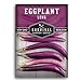 photo Survival Garden Seeds - Long Purple Eggplant Seed for Planting - Packet with Instructions to Plant and Grow Skinny Italian Aubergines in Your Home Vegetable Garden - Non-GMO Heirloom Variety 2024-2023