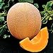 photo Park Seed Hale's Best Organic Melon Seeds Delicious Cantaloupe Certified Organic Thick Flesh, Sweet Juicy Flavor, Pack of 20 Seeds 2024-2023