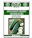 photo Straight Eight Cucumber Seeds - 50 Seeds Non-GMO 2024-2023