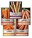 photo Carrot Seeds for Planting Home Garden - 5 Variety Pack Rainbow, Imperator 58, Scarlet Nantes, Bambino and Royal Chantenay Great for Spring, Summer, Fall, Heirloom Carrot Seeds by Gardeners Basics 2024-2023