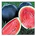 photo 25 Black Diamond Watermelon Seeds | Non-GMO | Heirloom | Instant Latch Garden Seeds 2024-2023
