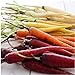 photo David's Garden Seeds Carrot Rainbow Blend 9334 (Multi) 200 Non-GMO, Open Pollinated Seeds 2024-2023