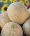 photo Burpee Ambrosia Cantaloupe Melon Seeds 30 seeds 2024-2023