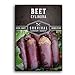 photo Survival Garden Seeds - Cylindra Beet Seed for Planting - Packet with Instructions to Plant and Grow Dark Red Beets in Your Home Vegetable Garden - Non-GMO Heirloom Variety 2024-2023