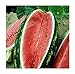 photo David's Garden Seeds Fruit Watermelon Allsweet 1429 (Red) 50 Non-GMO, Heirloom Seeds 2024-2023
