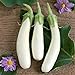 photo David's Garden Seeds Eggplant Casper 3411 (White) 50 Non-GMO, Open Pollinated Seeds 2024-2023