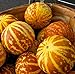 photo 20 Rare Tigger Melon Seeds | Exotic Garden Fruit Seeds to Plant | Sweet Exotic Melons, Grow and Eat 2024-2023