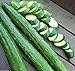 photo Japanese Long Burpless Cucumber Seeds - Sooyow Nishiki Green Non-GMO (25 - Seeds) 2024-2023