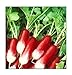 photo 100 French Breakfast Radish Seeds | Non-GMO | Fresh Garden Seeds 2024-2023