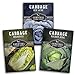 photo Cabbage Collection Seed Vault - Non-GMO Heirloom Survival Garden Seeds for Planting - Red Acre, Golden Acres, and Michihili (Napa) Cabbage Seed Packets to Grow Your Own Healthy Cruciferous Vegetables 2024-2023