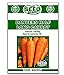 photo Danvers Half Long Carrot Seeds - 1000 Seeds Non-GMO 2024-2023